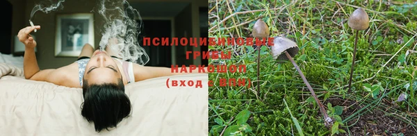 стафф Балабаново