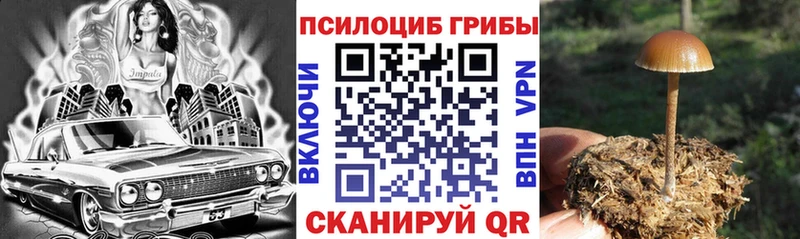 Псилоцибиновые грибы Cubensis Вятские Поляны