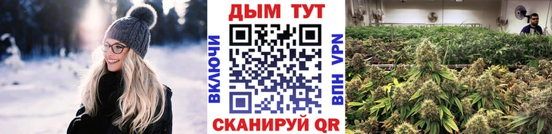 МАРИХУАНА Amnesia Вятские Поляны